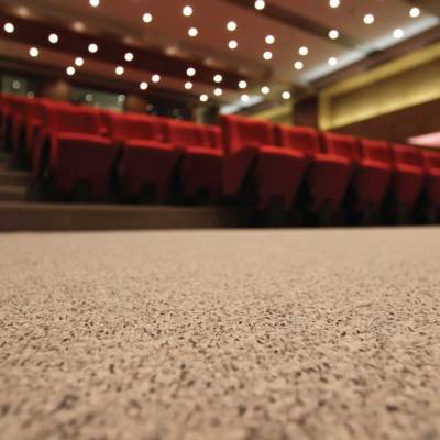 Auditoriums Carpets Manufacturers in Singapore
