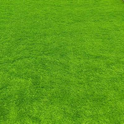 Grass Carpet Manufacturers in Singapore