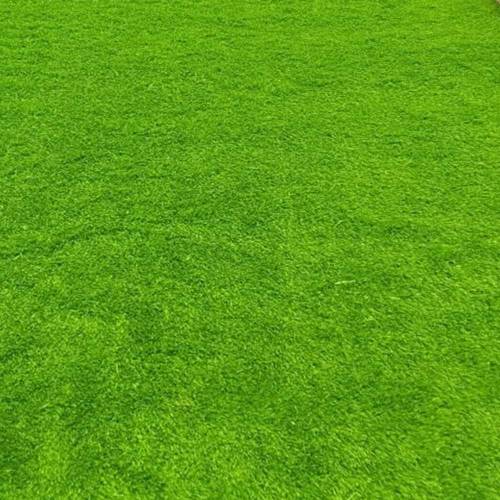 Grass Carpet Manufacturers in Singapore